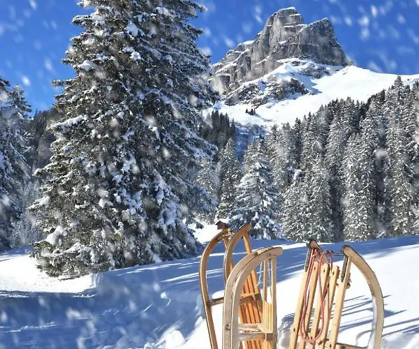 Allod Park Haus C 207 By Interhome Davos